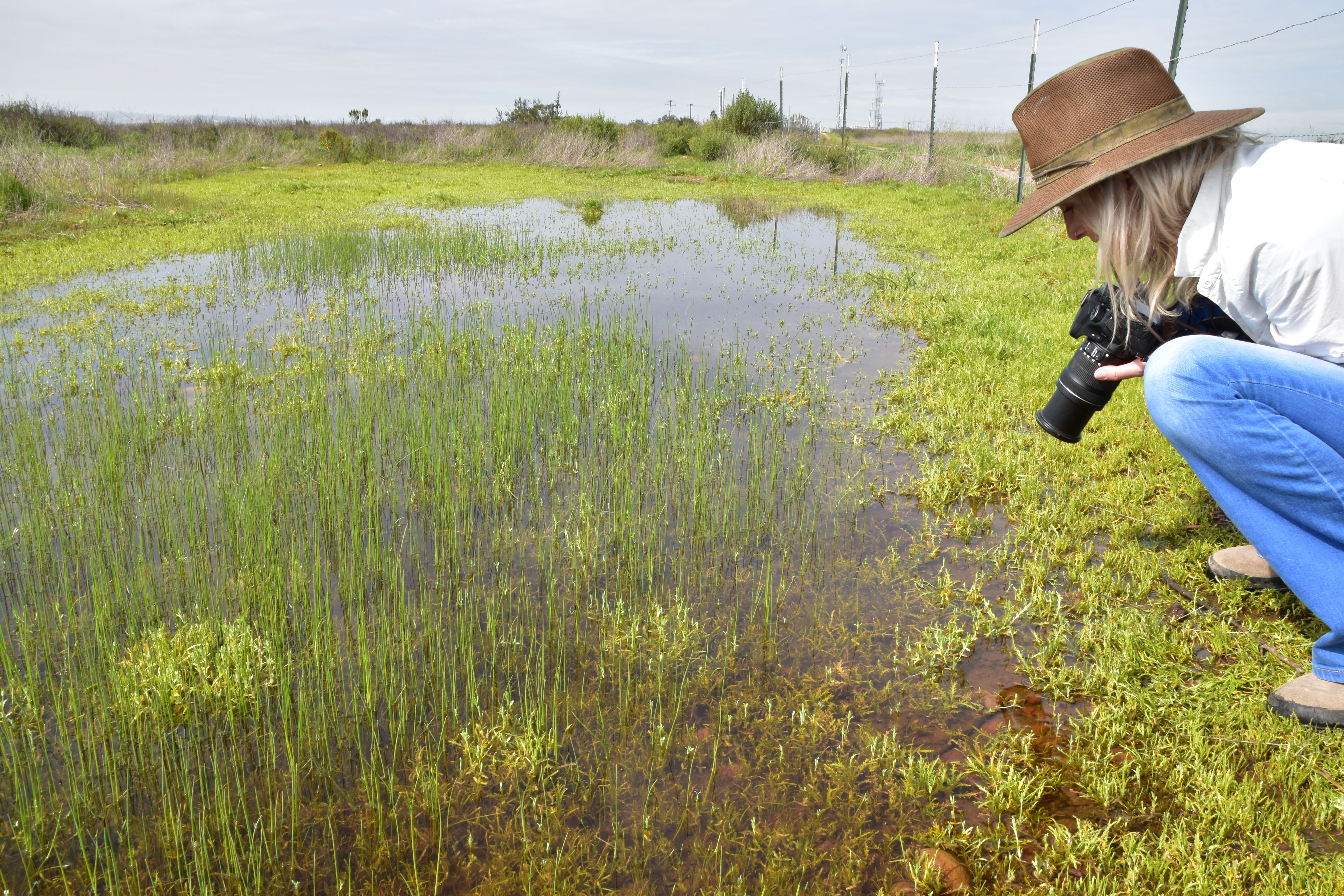 Photographer with camera kneels near a pool of water and plants Photographer with camera kneels near a pool of water and plants